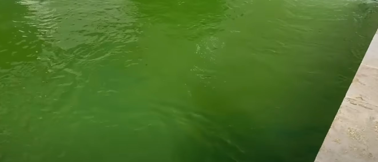 eau de piscine verte le meilleur remede de grand mere