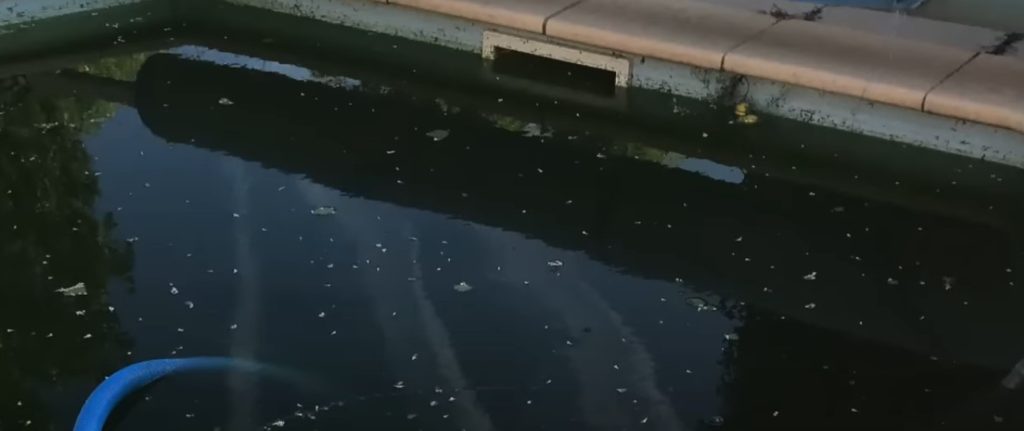 traiter naturellement eau de piscine verte